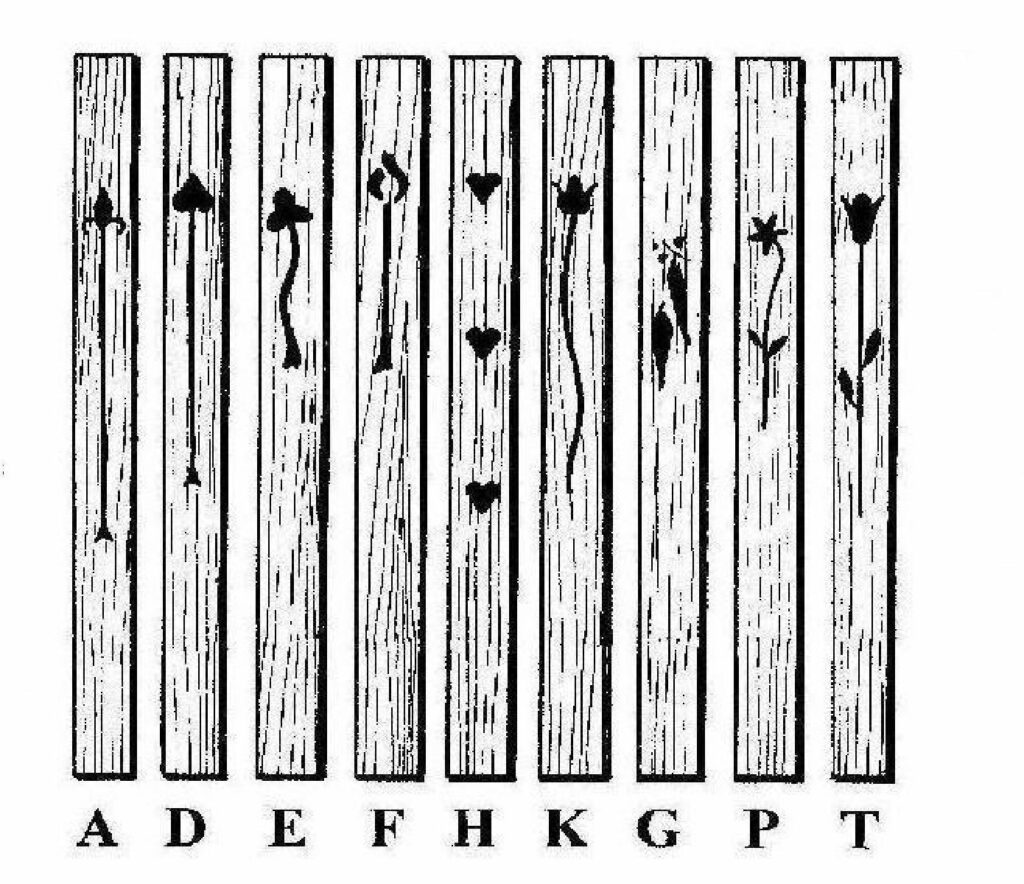 Standard Motifs